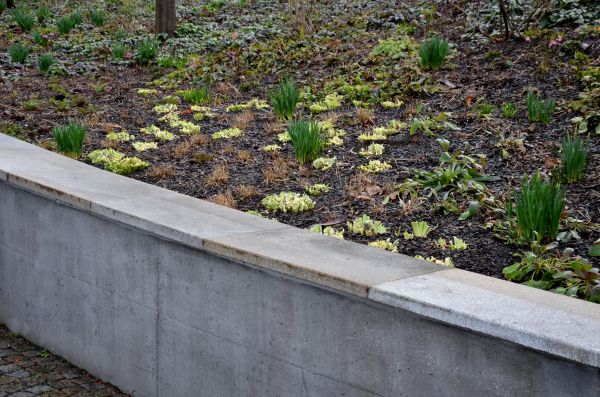Concrete Wall Construction in Blue Springs