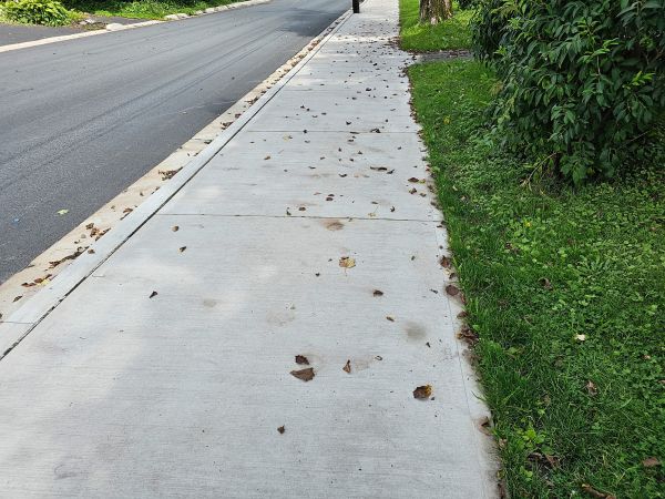 Sidewalk Renovation in Blue Springs