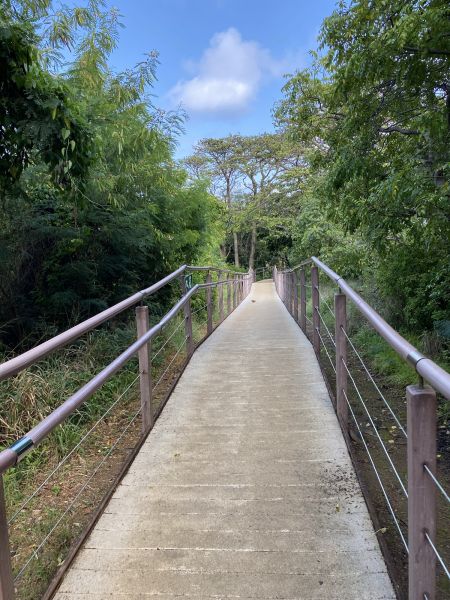 Footpath Construction in Blue Springs
