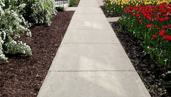 Sidewalk Slab Replacement in Blue Springs