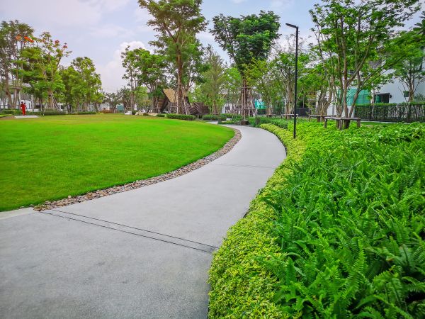 Cement Walkway Service in Blue Springs