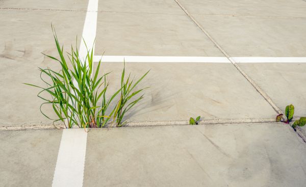 Concrete Parking Installation in Blue Springs