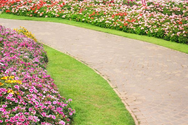 Concrete Walkway Service in Blue Springs
